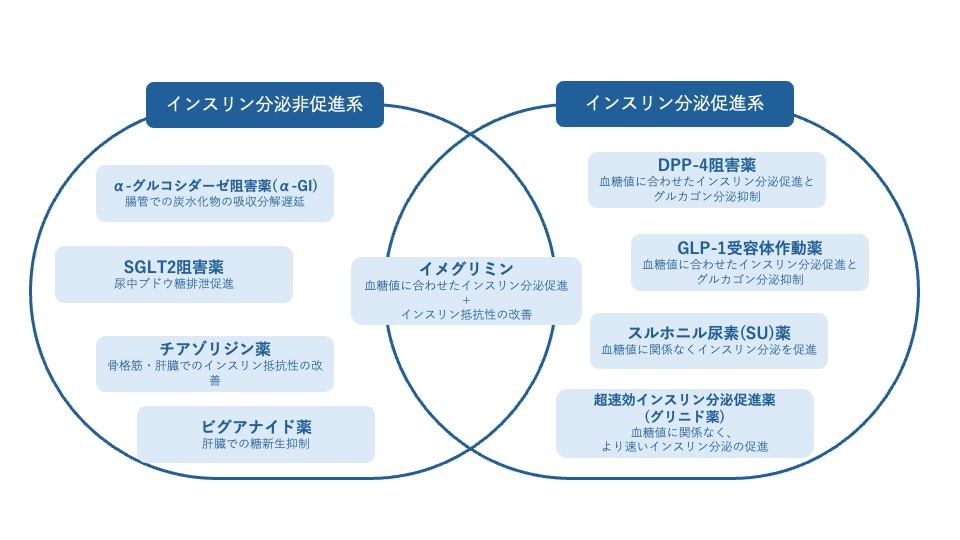 国内の糖尿病治療薬と最近のトレンド