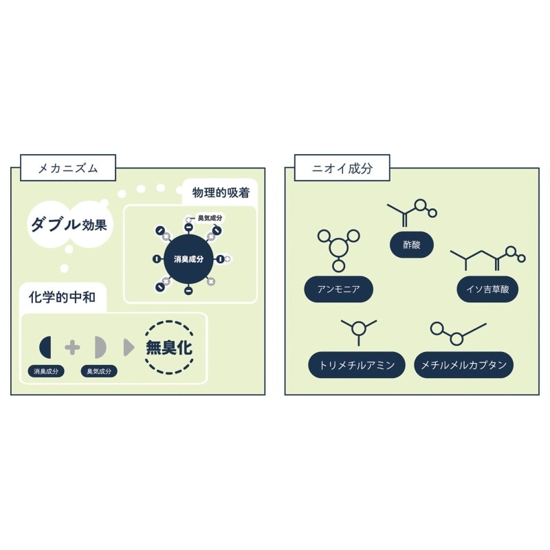 フレンチ袖インナーシャツ 人気